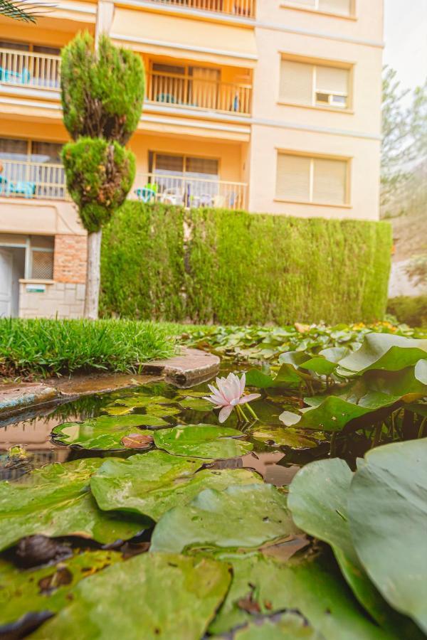 Apartamentos El Oasis Benicarló Extérieur photo